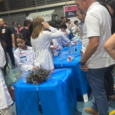 55bb7270 119b 44de 89ad 80b1f26d64a7