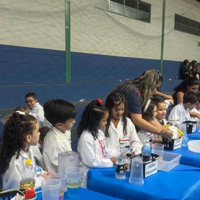 F8d2740a E1aa 4260 A24a D974688fd4cc