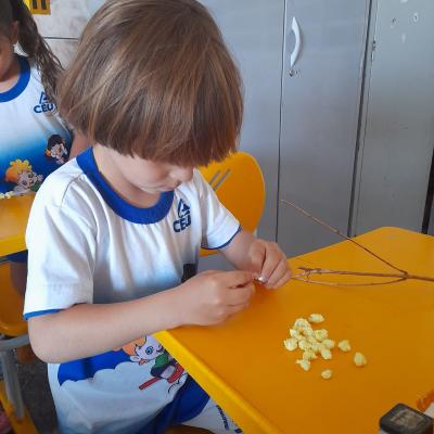 Whatsapp Image 2025 09 03 At 12.37.04