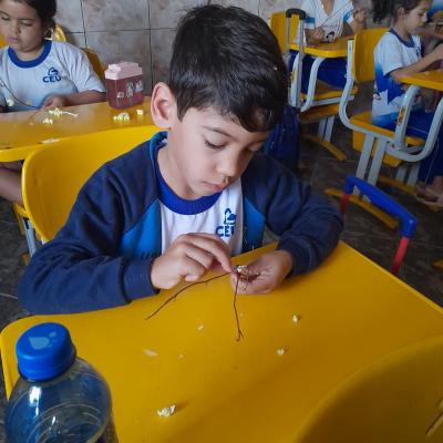 Whatsapp Image 2025 09 03 At 12.37.09 3