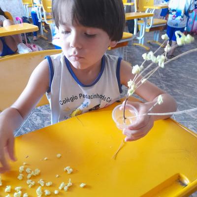 Whatsapp Image 2025 09 03 At 12.37.11 3