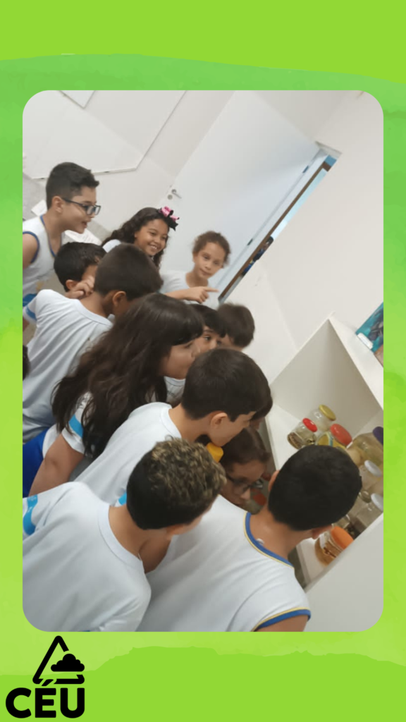 Uma visita ao laboratório – 3º ano