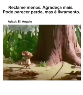 Reclame menos. Agradeça mais. Pode parecer perda, mas é livramento.